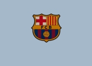 开云官方app入口-F1新赛季揭幕战，阿根廷翻盘比利时的启示与赛道上的逆袭哲学