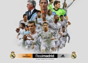 开云体育APP下载-法网绝杀，梅德韦杰夫带队问鼎年终总决赛