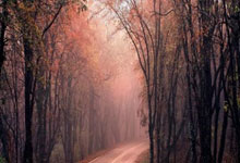 开云下载-包含比利时绝杀那不勒斯，加维惊艳世界的词条