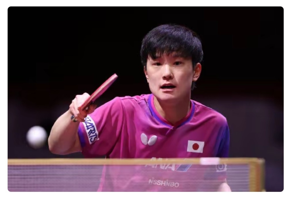 奥地利乒乓球队强势比利时乒乓球队,张本智和统治全场的简单介绍 奥地利乒乓球队强势比利时乒乓球队,张本智和统治全场的简单介绍
