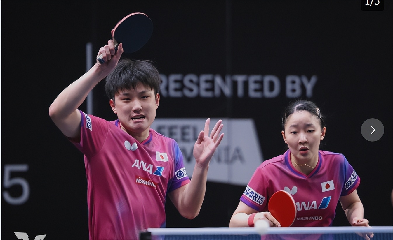 波兰乒乓球队完胜法国乒乓球队,张本智和高光表现的简单介绍 波兰乒乓球队完胜法国乒乓球队,张本智和高光表现的简单介绍