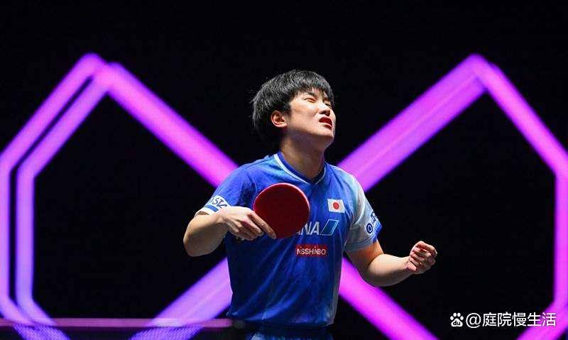 波兰乒乓球队完胜法国乒乓球队,张本智和高光表现的简单介绍 波兰乒乓球队完胜法国乒乓球队,张本智和高光表现的简单介绍