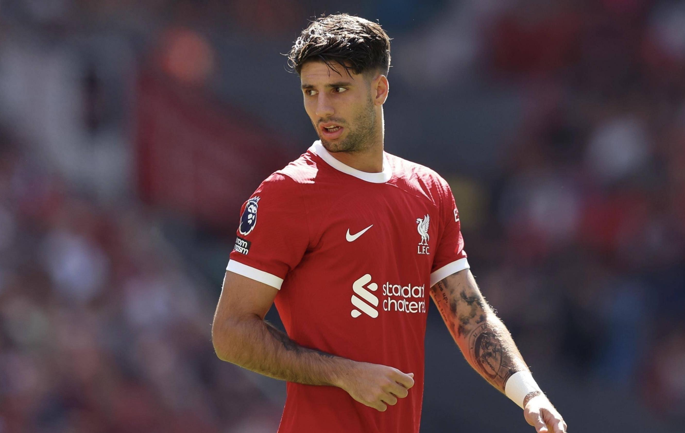 包含利物浦大将受伤,对球队影响巨大的词条 包含利物浦大将受伤,对球队影响巨大的词条