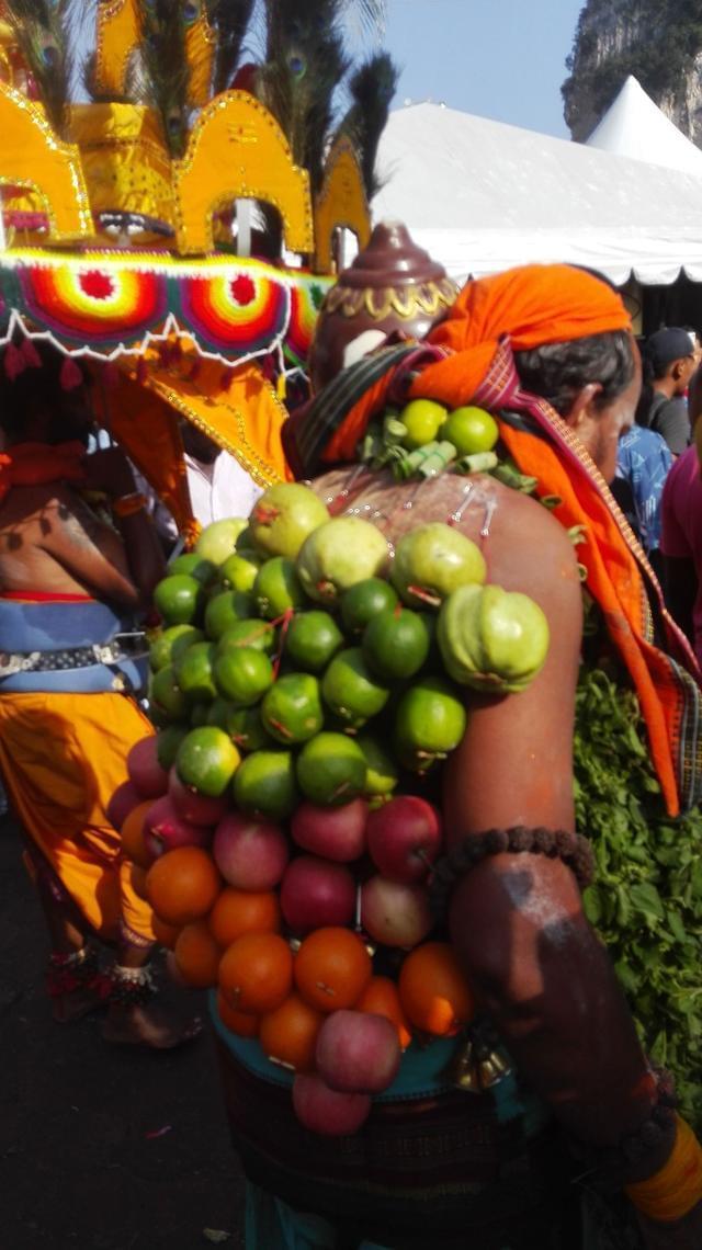 包含印度队横扫马来西亚队，辛杜高光表现的词条